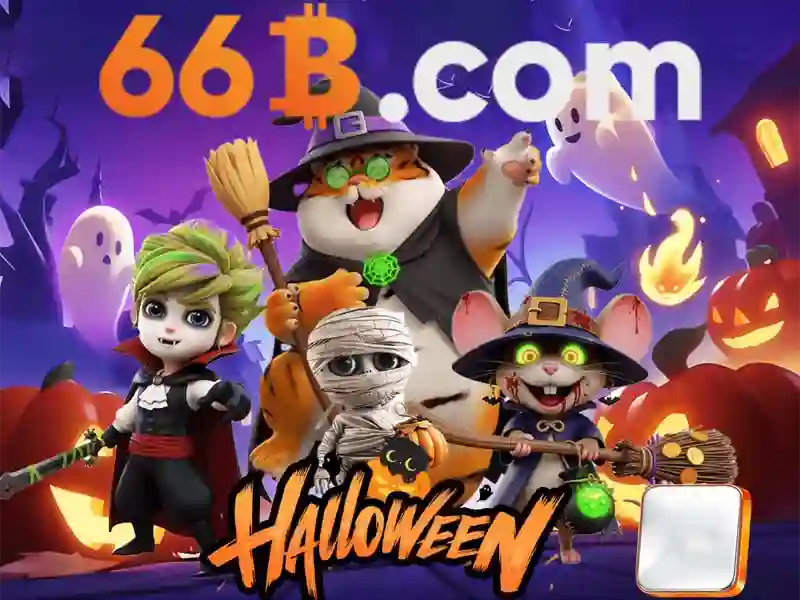 66b hoạt động bao lâu – hành trình thương hiệu và trải nghiệm