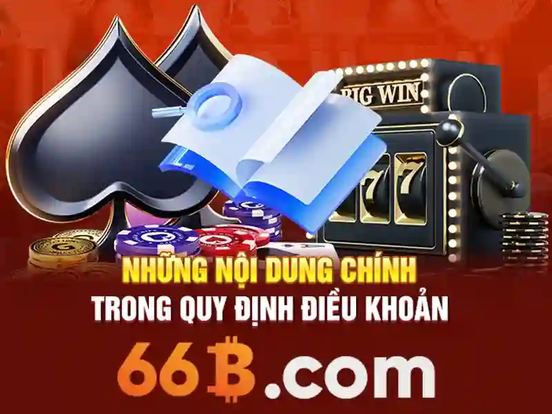 66B là gì và tại sao được quan tâm