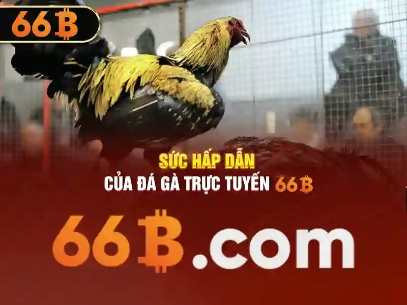 Sản phẩm và dịch vụ liên quan đến 66b app