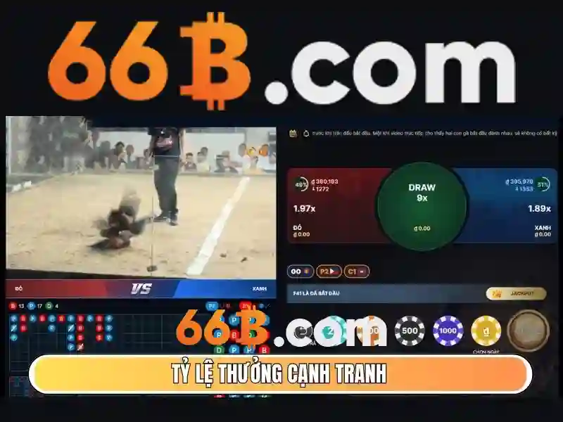 66b – Chủ đề và giá trị cốt lõi