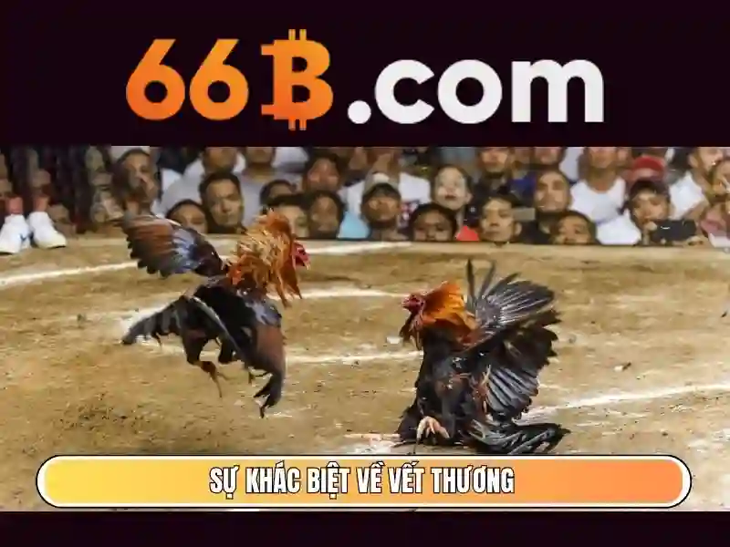 Ý tưởng và câu chuyện thương hiệu