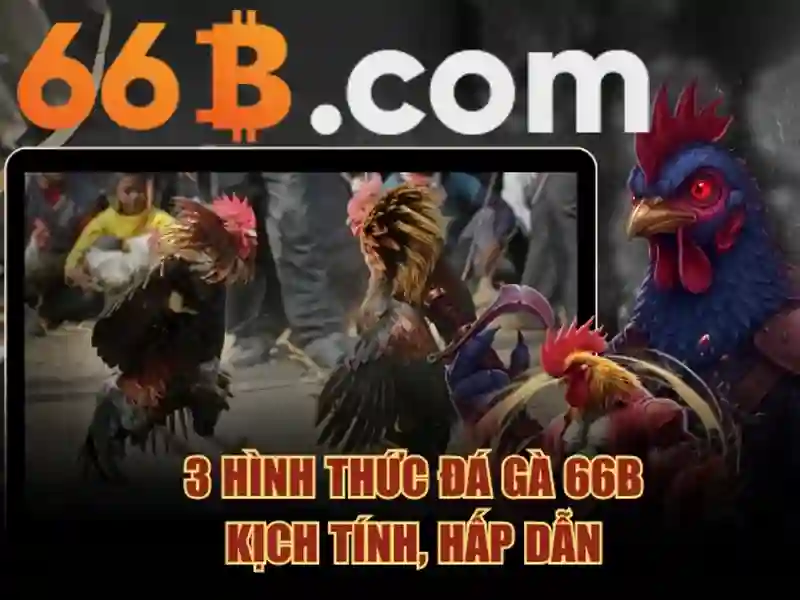 66b: một khái niệm nổi bật và cái nhìn tổng quan