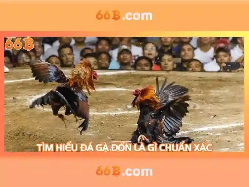 66b nguyễn sỹ sách phường 15 tân bình – tổng quan và giá trị cốt lõi