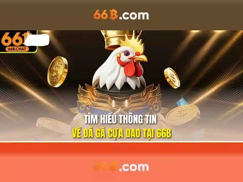 66B là gì và tại sao nó được quan tâm