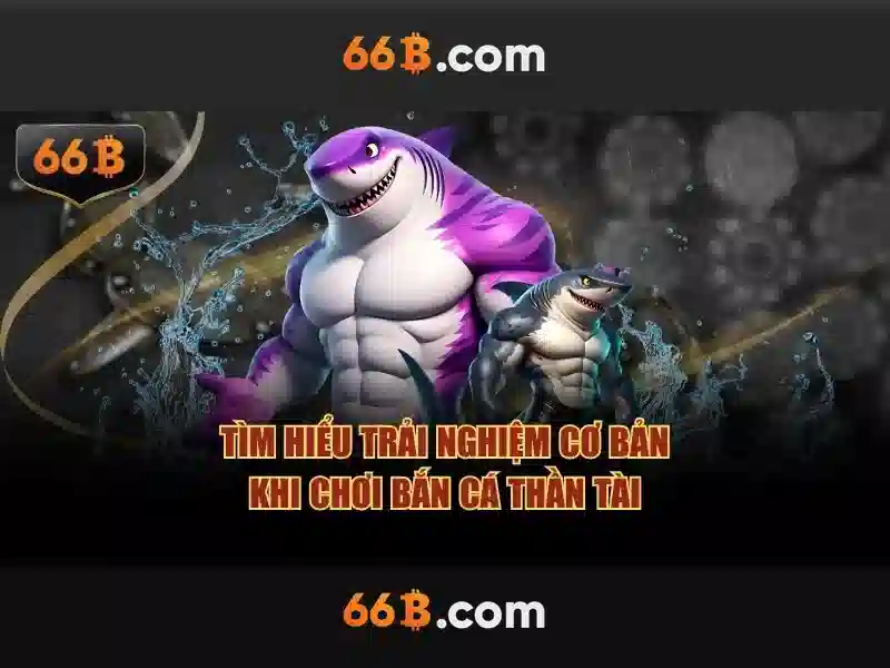 Đặc điểm nổi bật của 66b