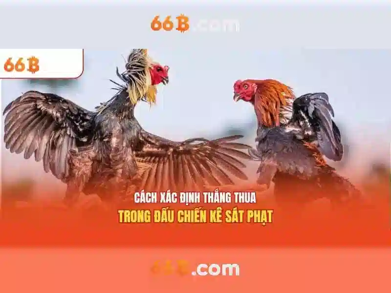 66B: Mô hình ngôn ngữ quy mô lớn và những điều cần biết
