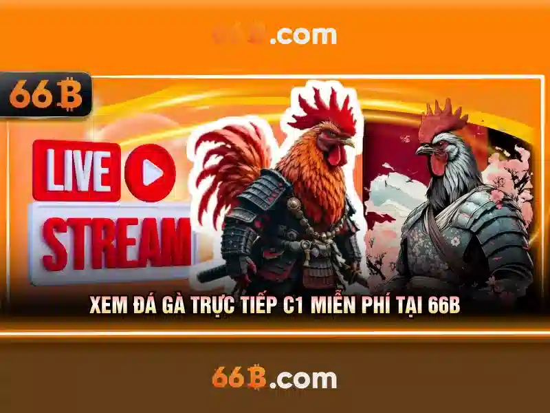 66b là gì và tại sao nó quan trọng
