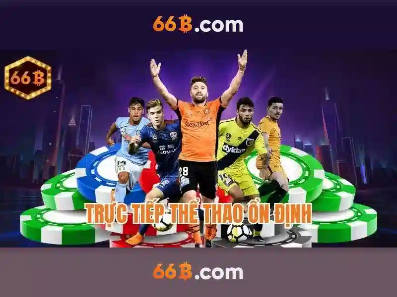 Trải nghiệm người dùng và phản hồi