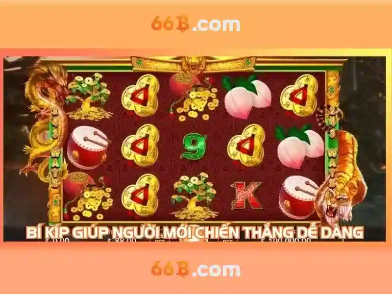 66b nguyễn sỹ sách – Ưu thế và cạnh tranh