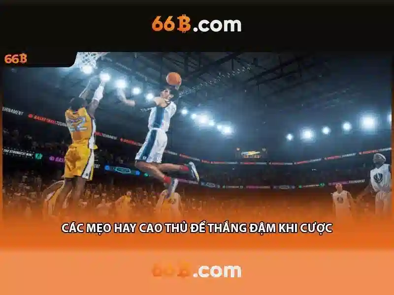 66B: Mô hình AI quy mô lớn