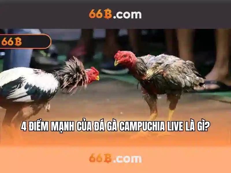 66b uy tín không – Nguon va Su Menh\n\n<h2><b>Sản phẩm và dịch vụ chính: ứng dụng thực tế của 66b uy tín không</b></h2>\n<p><span style=