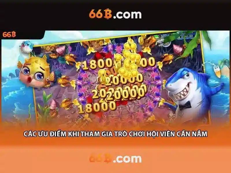 66b of the b: Định hình thương hiệu và cộng đồng