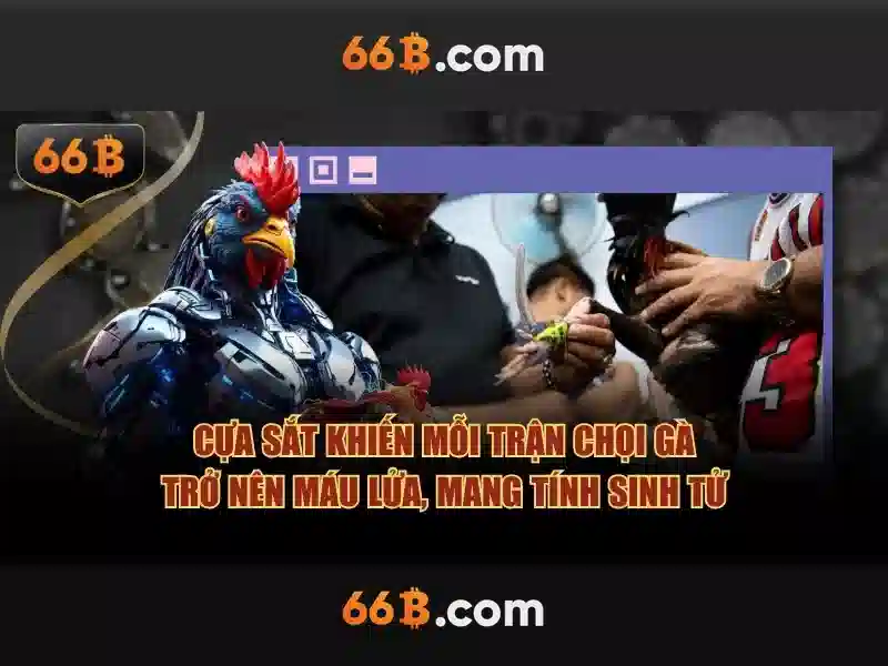 Cân nhắc an toàn và triển khai