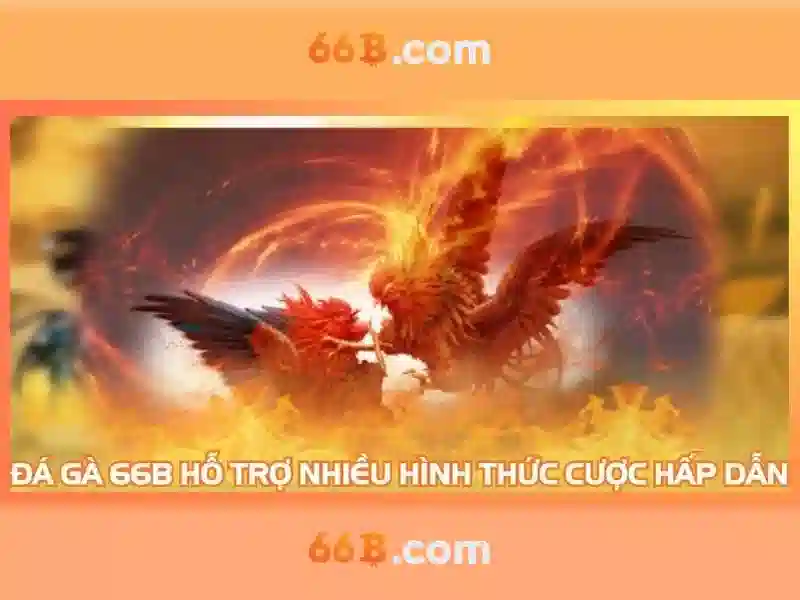 66b thưởng đăng ký – chủ đề và giá trị cốt lõi