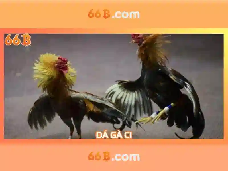 Kiến trúc và tham số