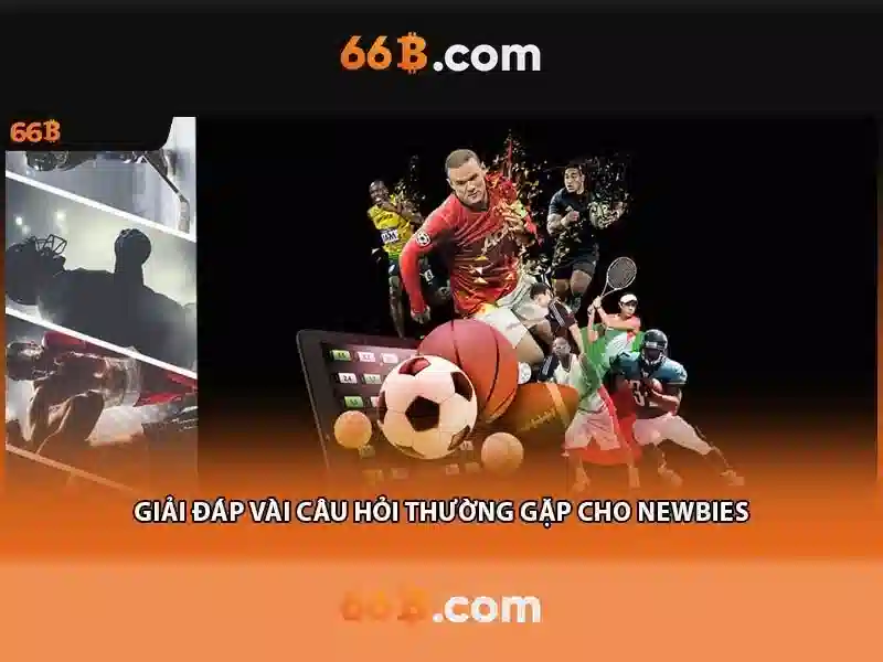 66B là gì?