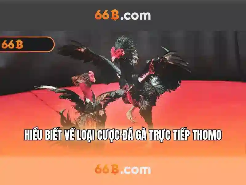 Cú pháp và mô hình\n<h3><b>Ứng dụng trong kỹ thuật số</b></h3>\n<p><span style=