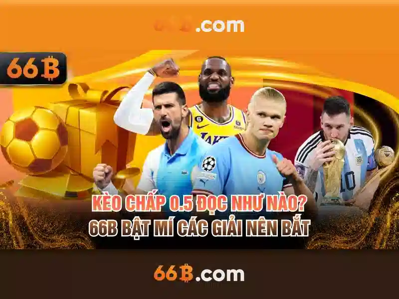 66B là gì