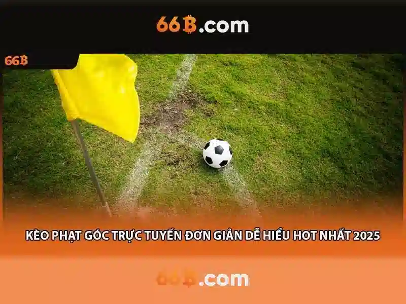 Trải nghiệm người dùng thực tế