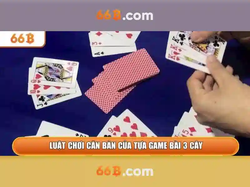 66b hạ long – Hành trình thương hiệu và trải nghiệm với 66b app
