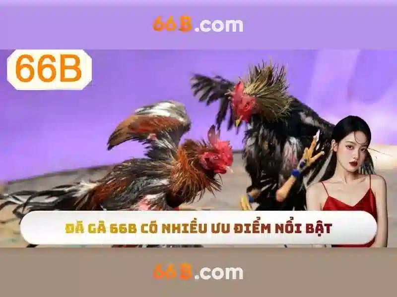 66B là gì? Khái niệm và ứng dụng của mô hình ngôn ngữ 66 tỷ tham số