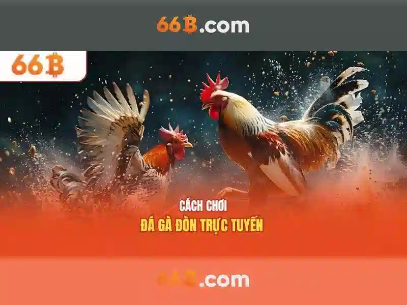 66B la gi va tam quan trong cua no trong AI