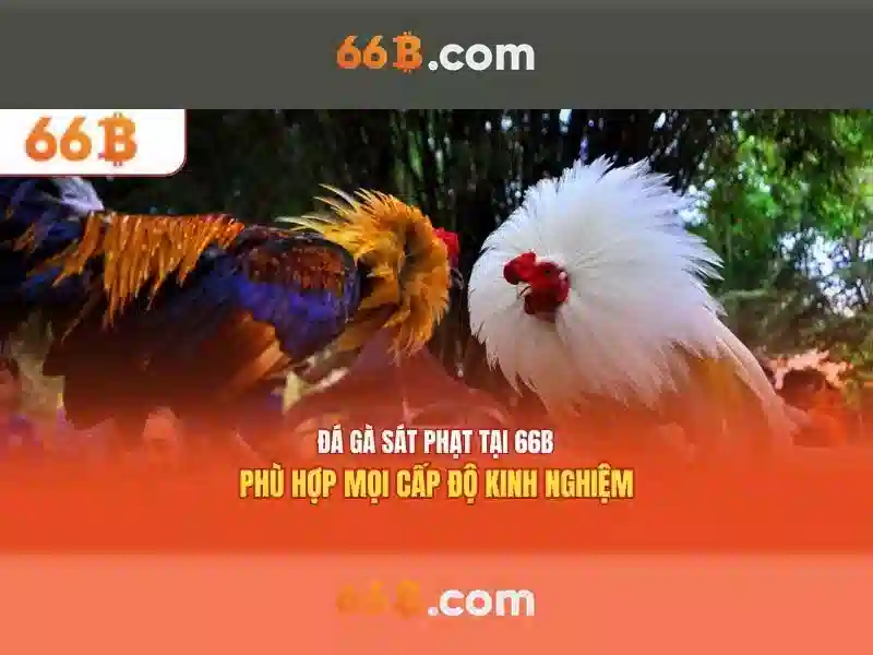 Kiến trúc và tham số chủ đạo<p><span style=