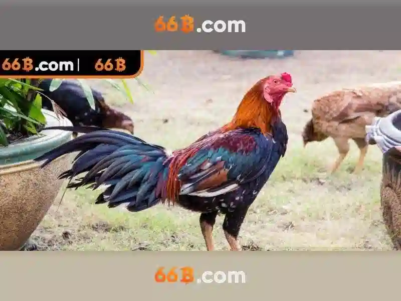 66B: Mô hình ngôn ngữ lớn với 66 tỷ tham số và sự đổi mới