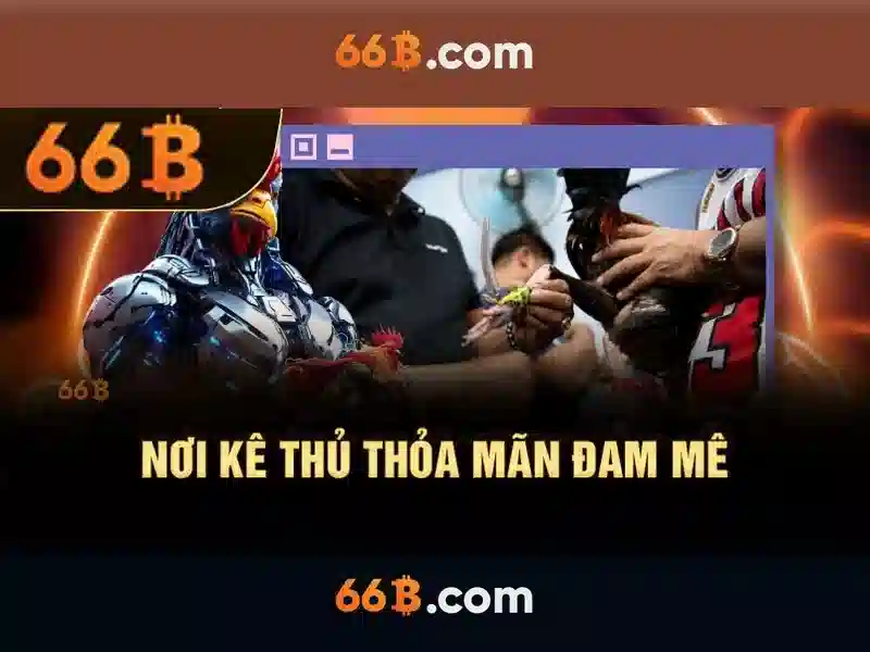 Ưu điểm nổi bật của 66B