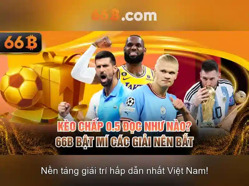 66B là gì và vì sao nó quan trọng