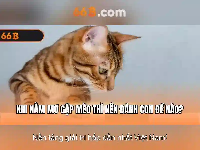 Đào tạo: dữ liệu và quy trình