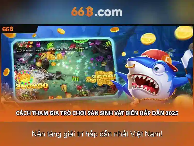 Kết luận về 66b
