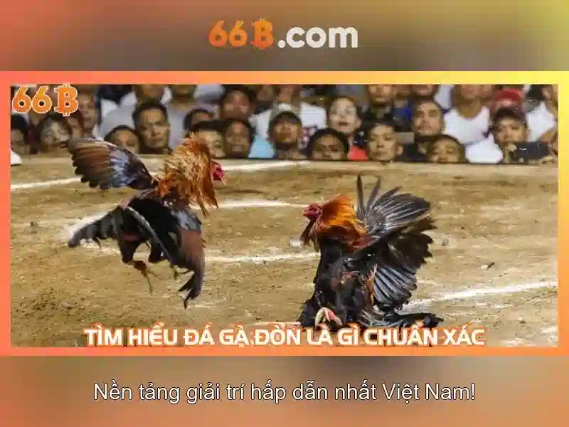 Endrick Rời Real Madrid – Câu Chuyện Phía Sau Quyết Định