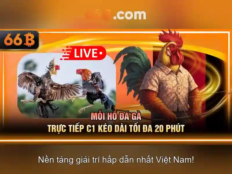 66B trong thế giới AI: tổng quan và ứng dụng