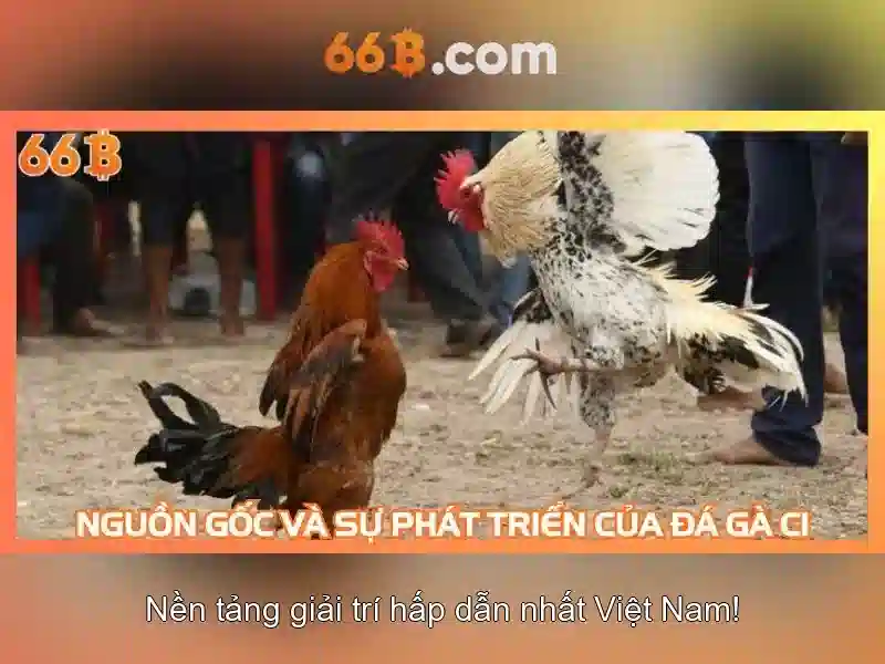 Kiến trúc và khả năng của 66b\n<h>Ứng dụng thực tế và thách thức</h>\n<p><span style=