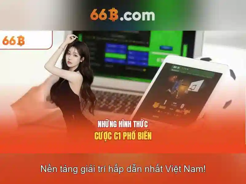 66B mô hình là gì? Khái niệm và ứng dụng