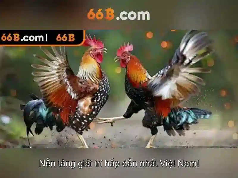 Kích thước 66B và cách chọn áo phù hợp<h>Bảo quản và chăm sóc áo ngực 66B</h><p><span style=
