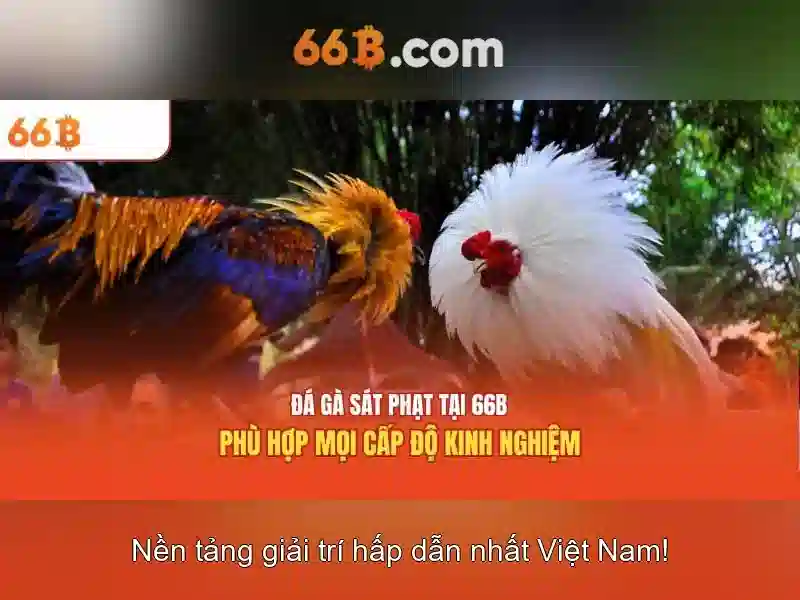 66b trong khoa học dữ liệu