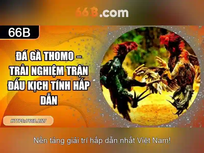 66b: Khám phá ý nghĩa và ứng dụng