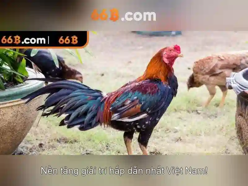 66B: Mô hình ngôn ngữ lớn và hành trình của nó