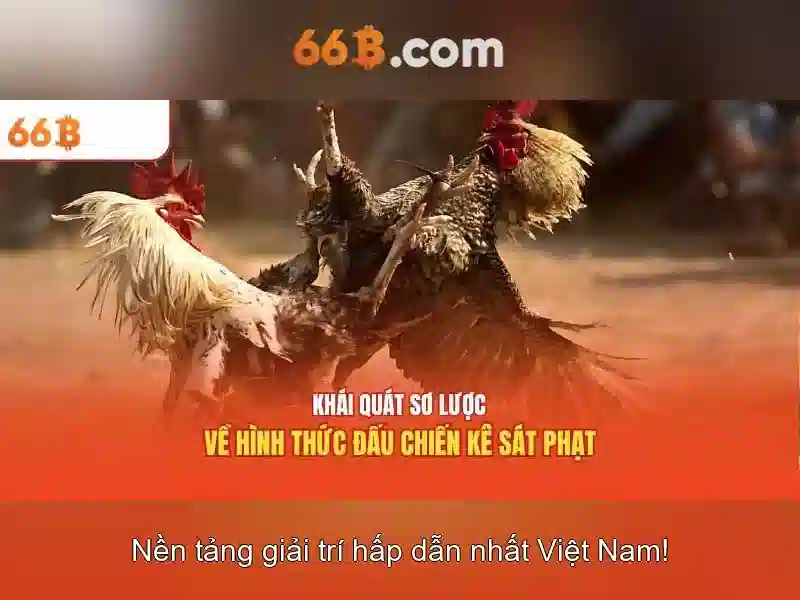 66b: một khía cạnh của công nghệ và văn hóa số