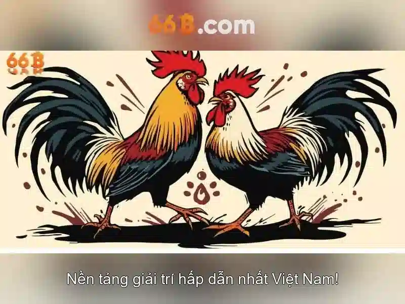Giới thiệu về 66B