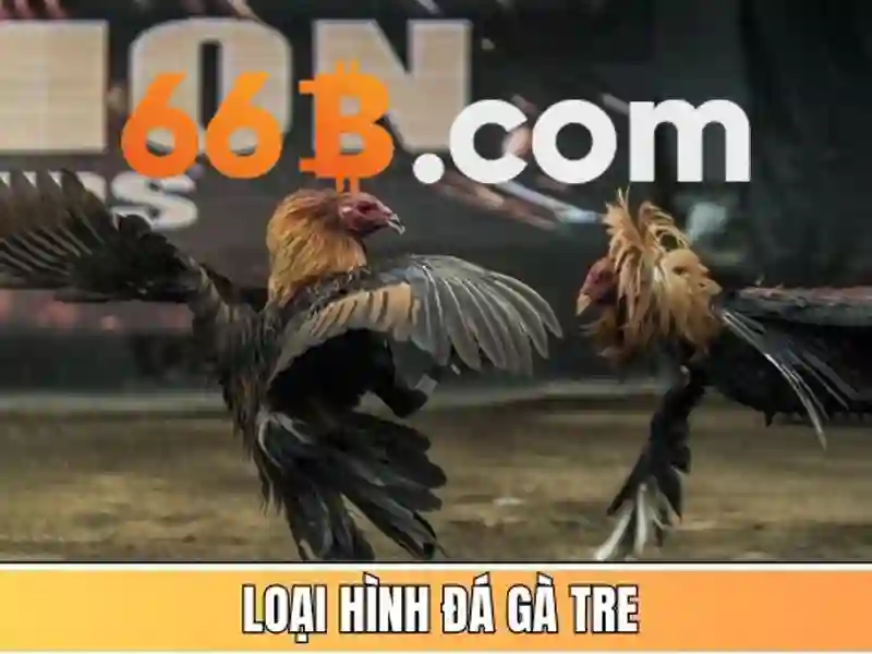 66b phan đăng lưu phú nhuận tp hcm - Trải nghiệm và giá trị