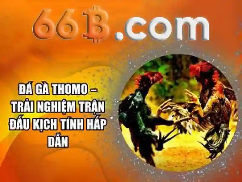 66b: Mô hình ngôn ngữ quy mô lớn và những điều cần biết