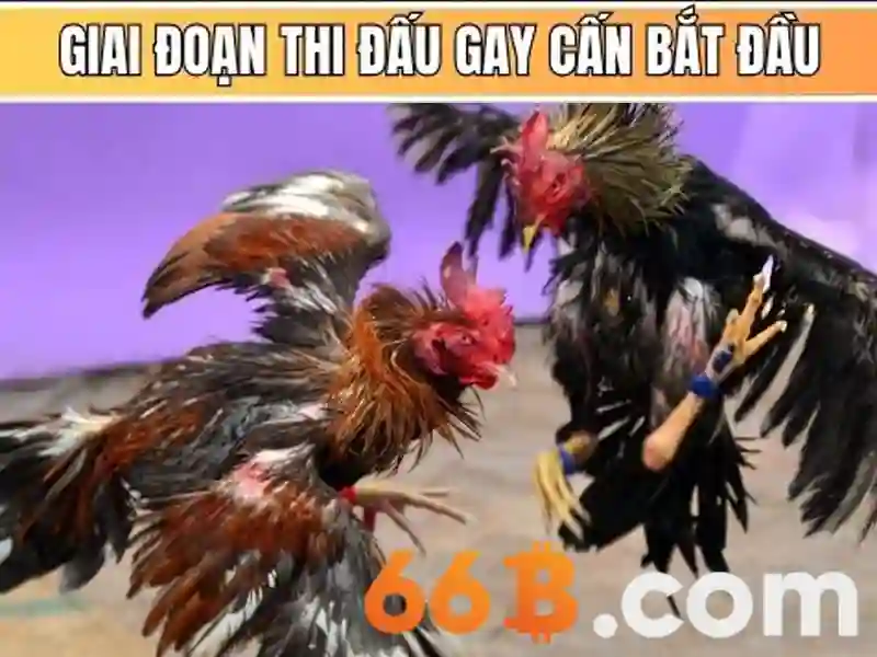 Ứng dụng của 66b trong AI
