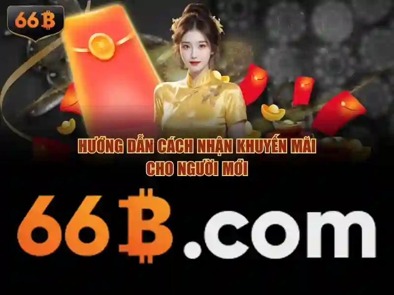 khái niệm về 66b