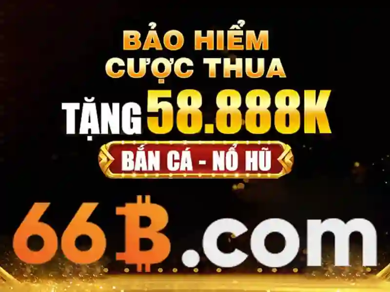 66b là gì?
