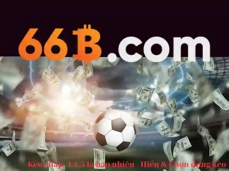 Tóm tắt và lời mời trải nghiệm