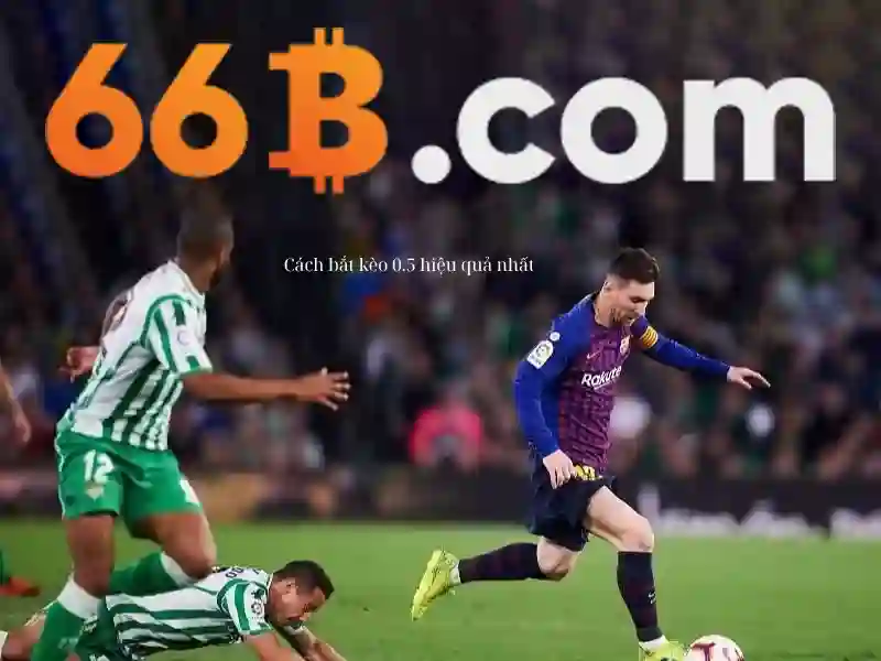 liên hệ 66b – Trải nghiệm người dùng và phản hồi